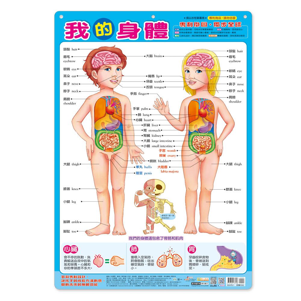 世一文化 - 小小醫生來看診