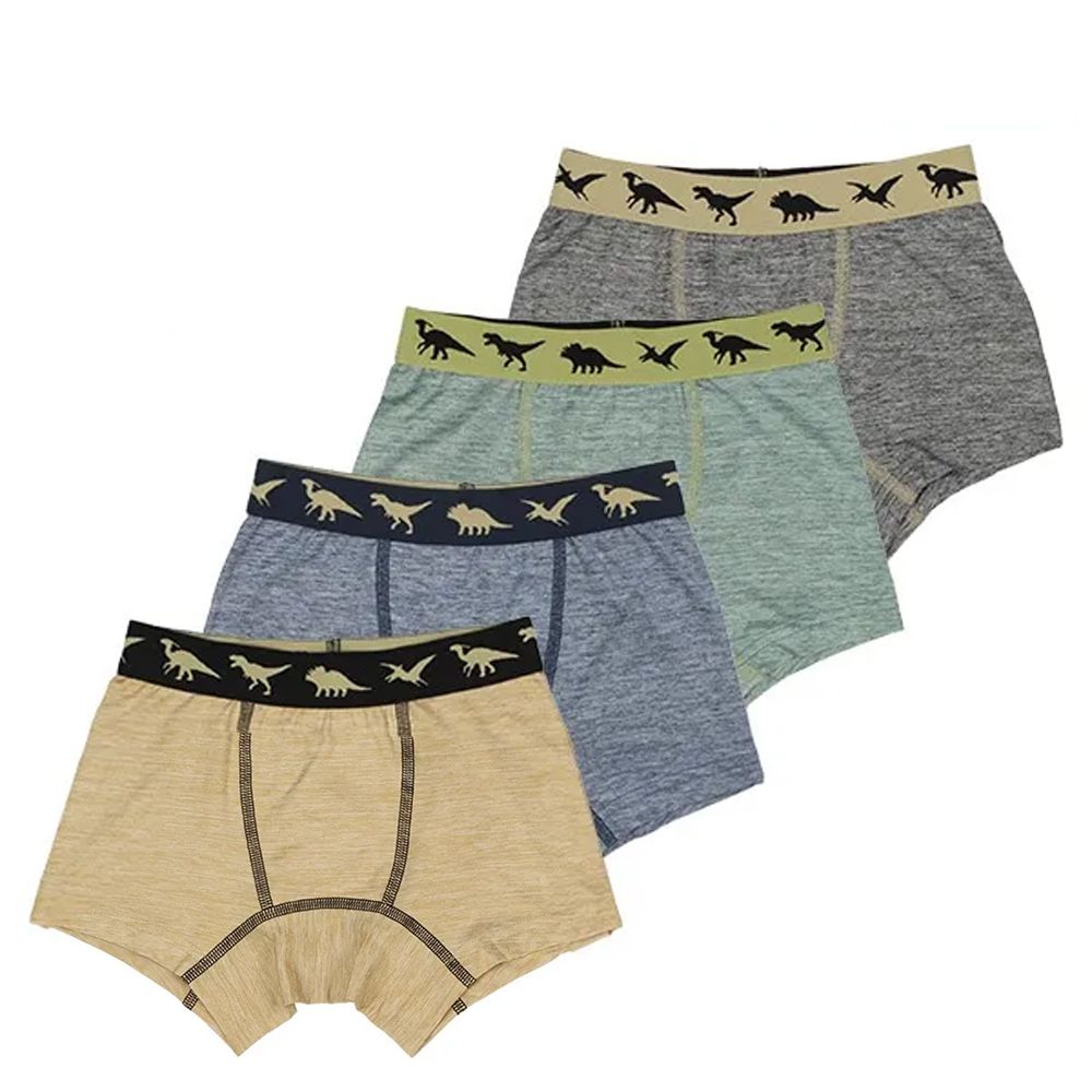 前開式男孩四角內褲(4件組)-簡約恐龍-大地色系