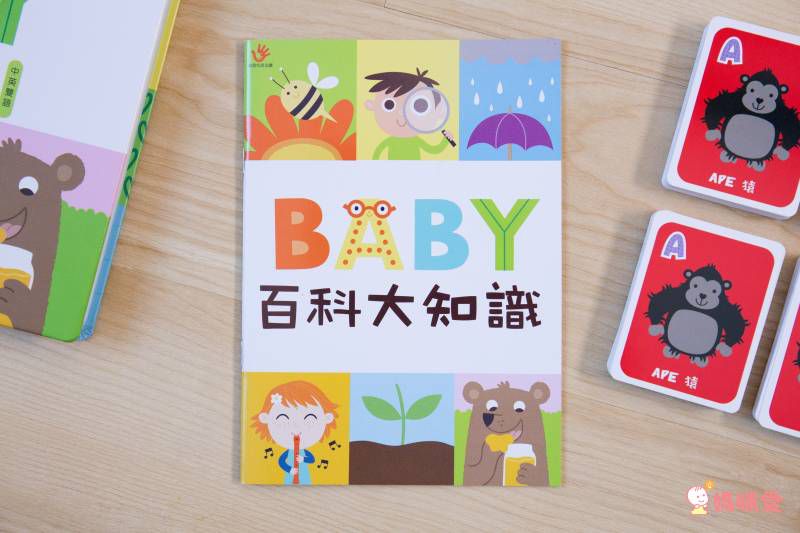 双美生活文創 - ABC點讀學習寶盒-波波狗點讀筆*1隻＋ABC認知圖典*1本＋圖鑑點讀書*1本＋ABC點讀掛圖*1張＋注音點讀卡*1張