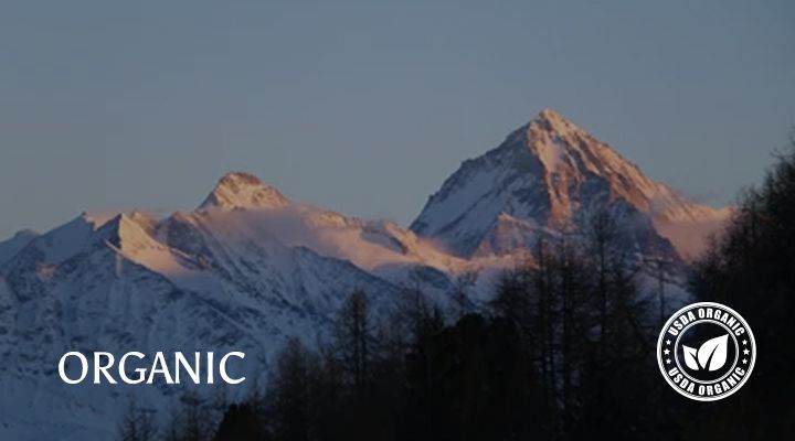 韓國 LOWLES - (1+1)食品級無患子蔬果碗盤洗潔液-正裝+補充包