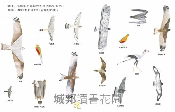 燕子遷徙日記：一段飛越地球的旅程