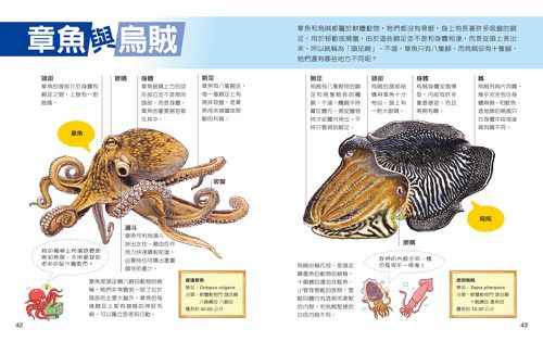 一樣不一樣：水生動物【A級福利品特惠】-全彩 (單本)-精裝