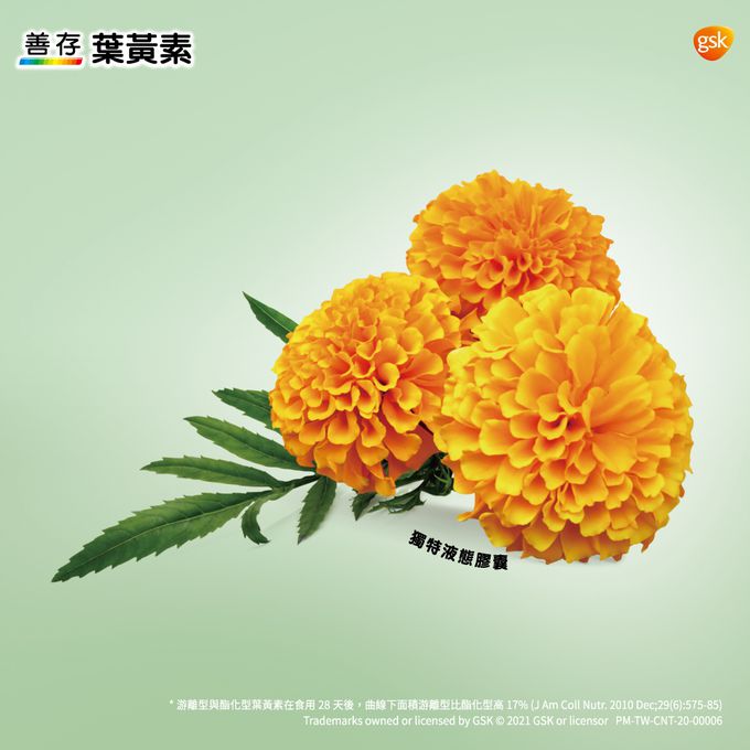 善存 - 游離型葉黃素軟膠囊20mg-60錠X2盒