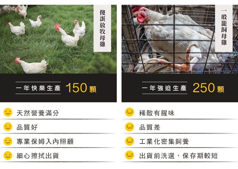 傻蛋-友善放牧蛋 - 紅羽土雞蛋-1箱/40顆