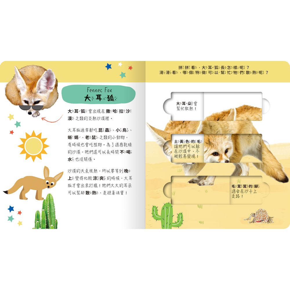 lovely puzzle-沙漠動物園