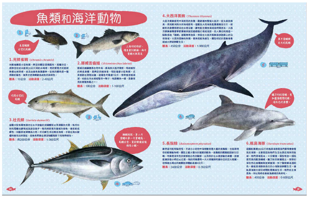 世界上有哪些魚？：魚類、海洋動物與牠們生活的大海 (精裝 / 164頁 /全彩印刷)
