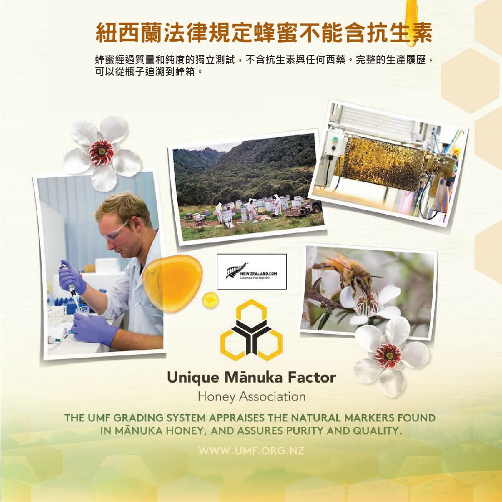 壽滿趣 - Onetai紐西蘭麥蘆卡蜂蜜牛奶抹醬-麥蘆卡蜂蜜牛奶-250公克