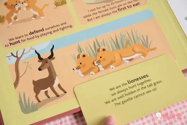 人氣外文操作書✭部落客都推薦的百葉窗書 / 觸摸翻翻書/ 推拉操作書