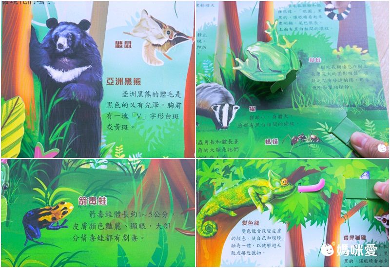 3D立體有聲書-動物星球