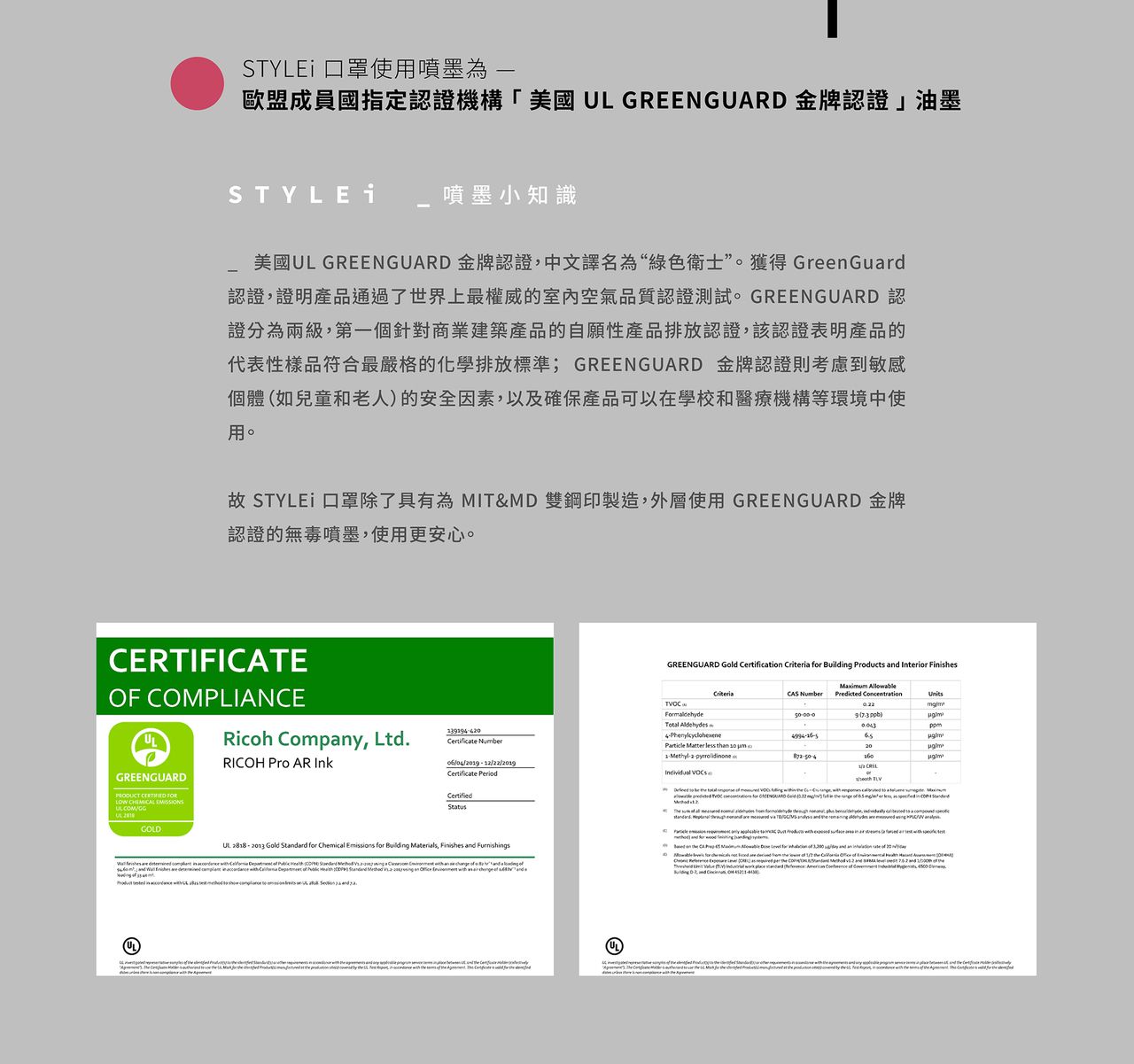 公主系漸層、爆走恐龍【STYLEi 史戴利】雙鋼印兒童口罩