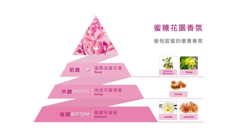 【思必兒 Spear & Armour】乾洗手慕斯，物理抗菌99.9%