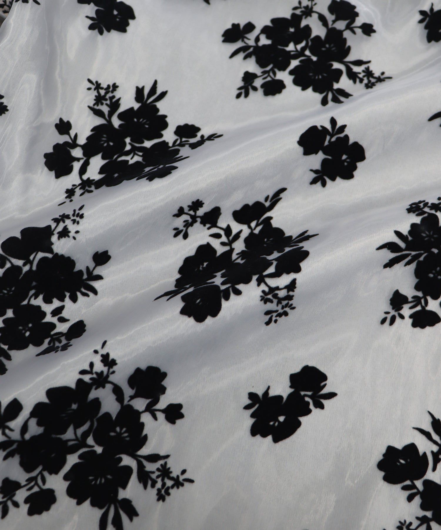 日本 BLUE EAST - 浪漫歐根紗蝴蝶結長袖上衣-黑