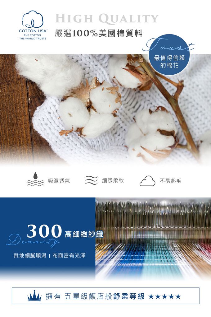 鴻宇 HongYew - 雙人床包薄被套組 美國棉授權品牌 300織-眠眠兔-粉