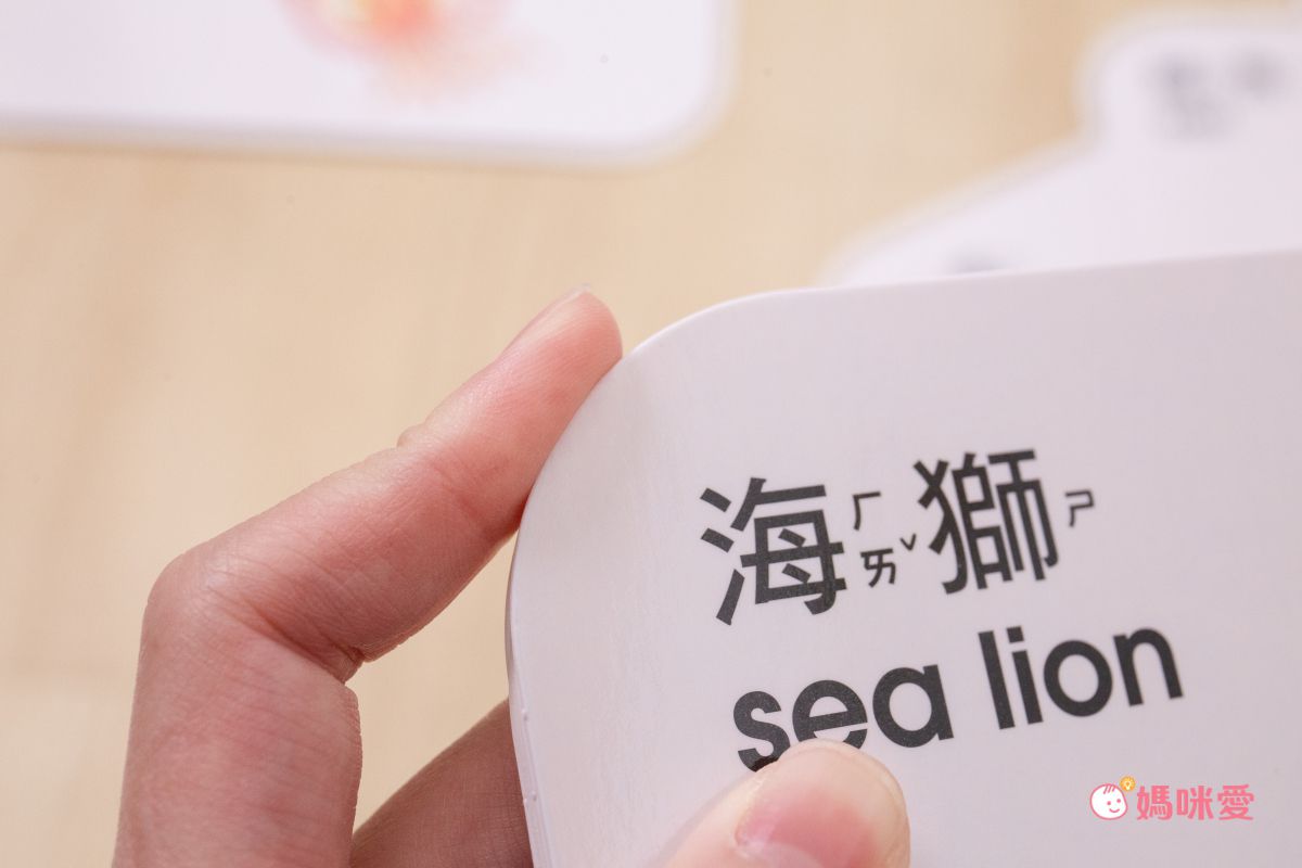 在家輕鬆玩實驗《STEAM 實驗魔法盒》，成為小小科學家好簡單！