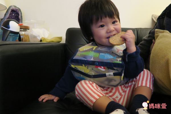 美國 green sprouts - 小綠芽魔鬼氈雙面防水/防食物掉落圍兜三入組-素色藍