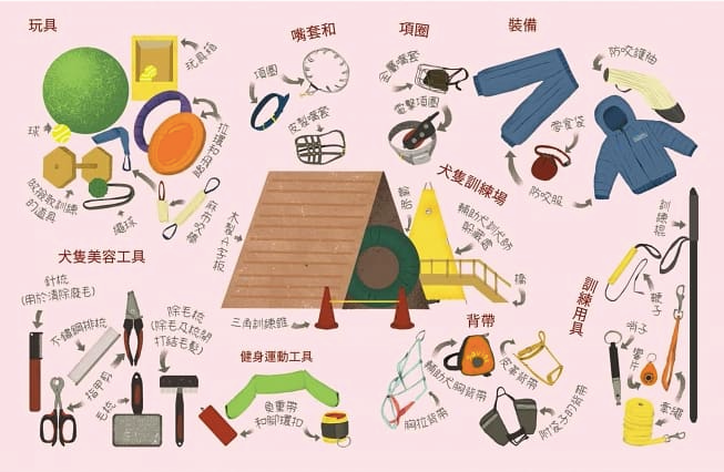 不平凡的職業──揭開12個工作的秘密