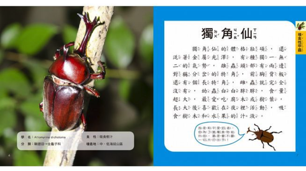 我的第一本甲蟲博士小百科NEW-內含小百科+12款甲學習模型及3個配件