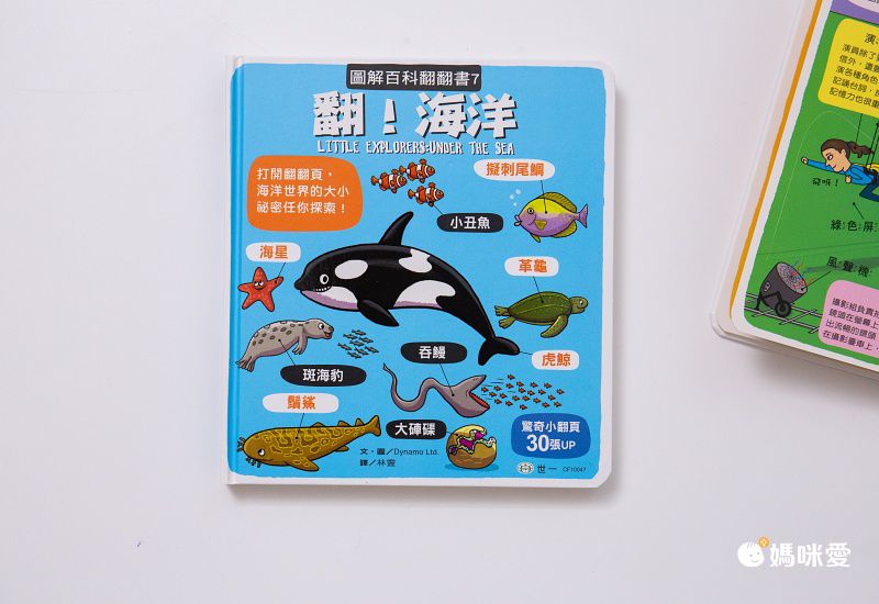 翻！身體-圖解百科翻翻書