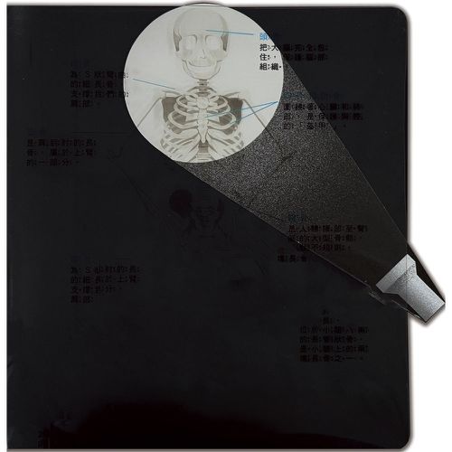 藏在身體的祕密【兒童生理啟蒙3D立體書】
