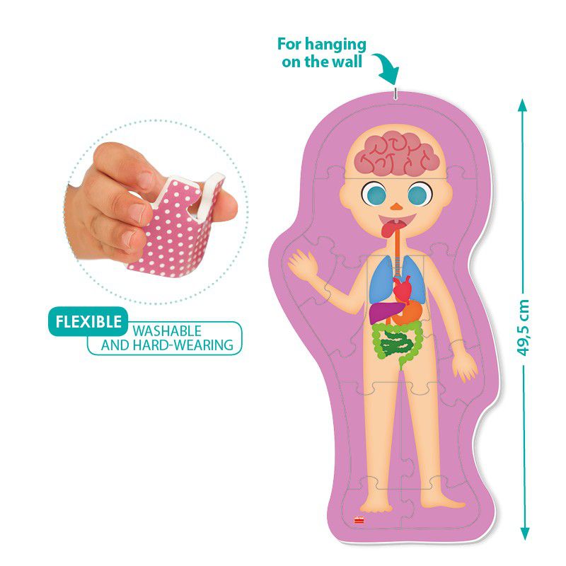 西班牙Akros - [新品]人體構造 (可洗式軟拼圖)