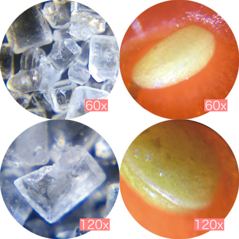 日本 Raymay - 攜帶式隨身顯微鏡-60-120倍率-綠