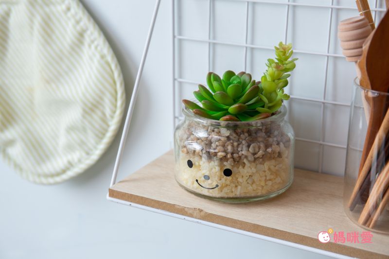 日本 KISHIMA - CT觸媒 開運消臭仿真多肉盆栽-成長-Daniel (L(φ10x11.5cm))