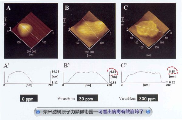 【臺大病毒崩 VirusBom】100ppm 補充瓶兩入組 限時2424元！