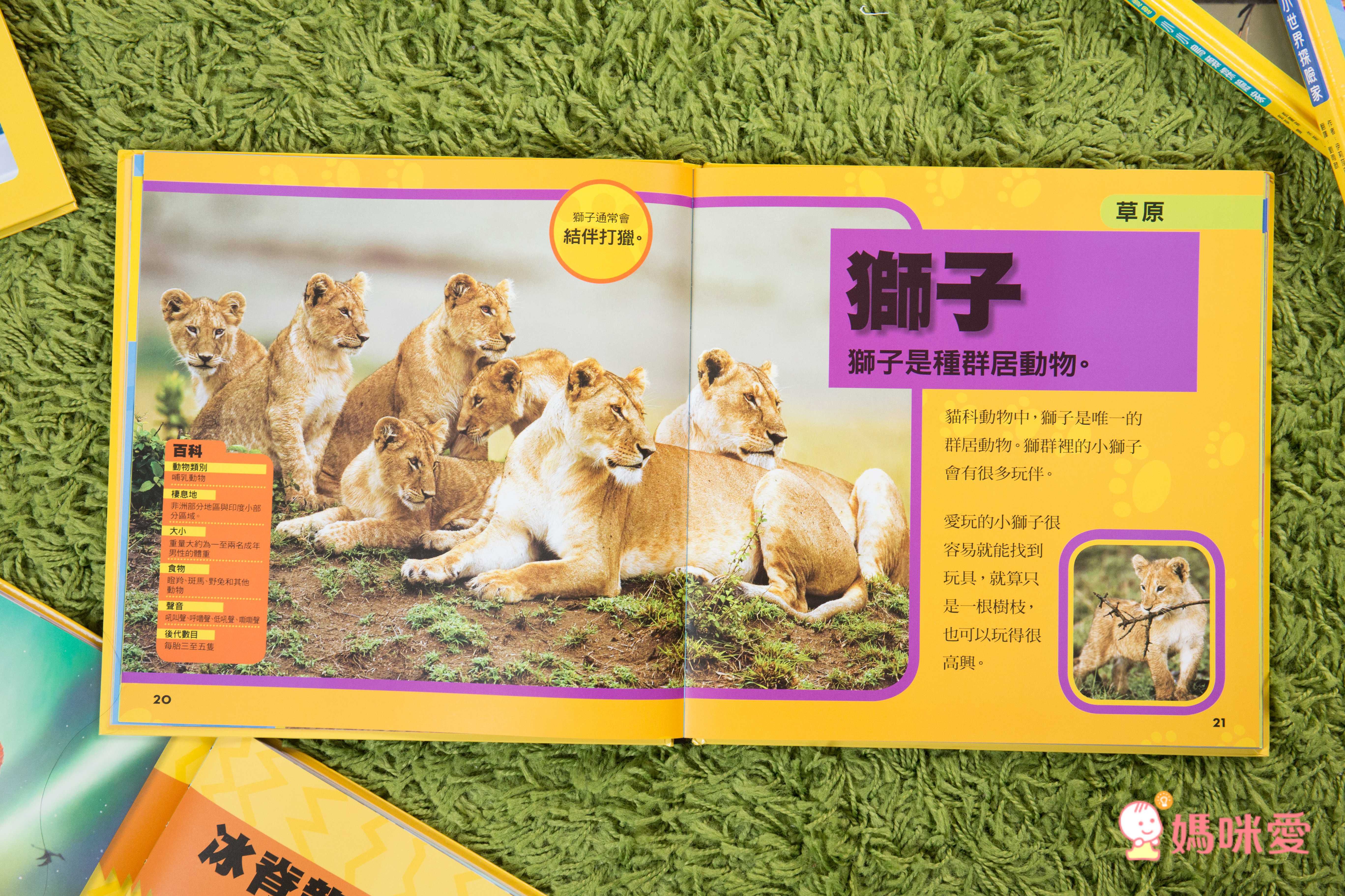 小小動物探險家 (精裝 / 128頁 / 全彩印刷)