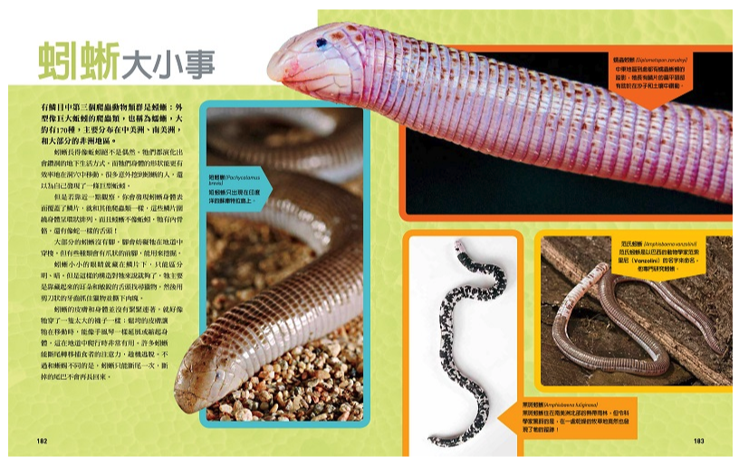 國家地理終極爬蟲百科 (精裝 /272頁 /全彩印刷)