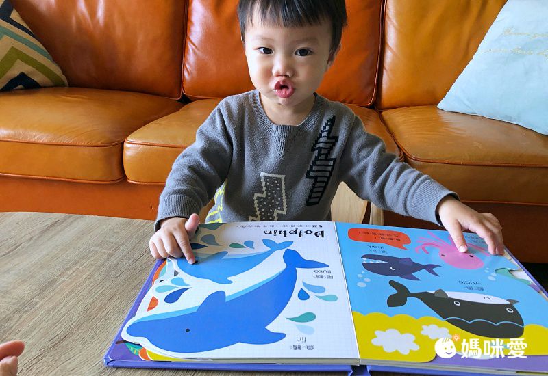 禾流文創 - Amazing!變形認知書 3本一套-變形恐龍認知書+變形動物認知書+變形魔法認知書