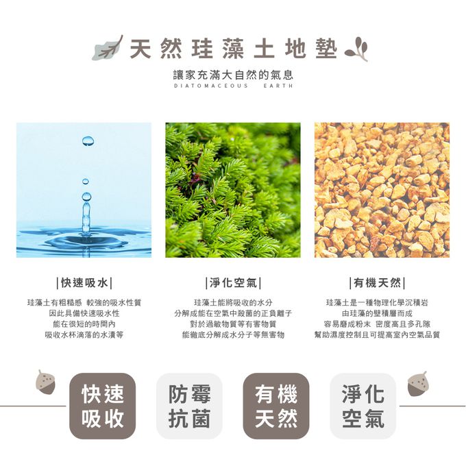 收納王妃 - 迪士尼 Disney兔子系列【快樂鴨霸兔崽子】軟式珪藻土吸水地墊 浴室地墊 腳踏墊 吸水墊60X40X0.5cm