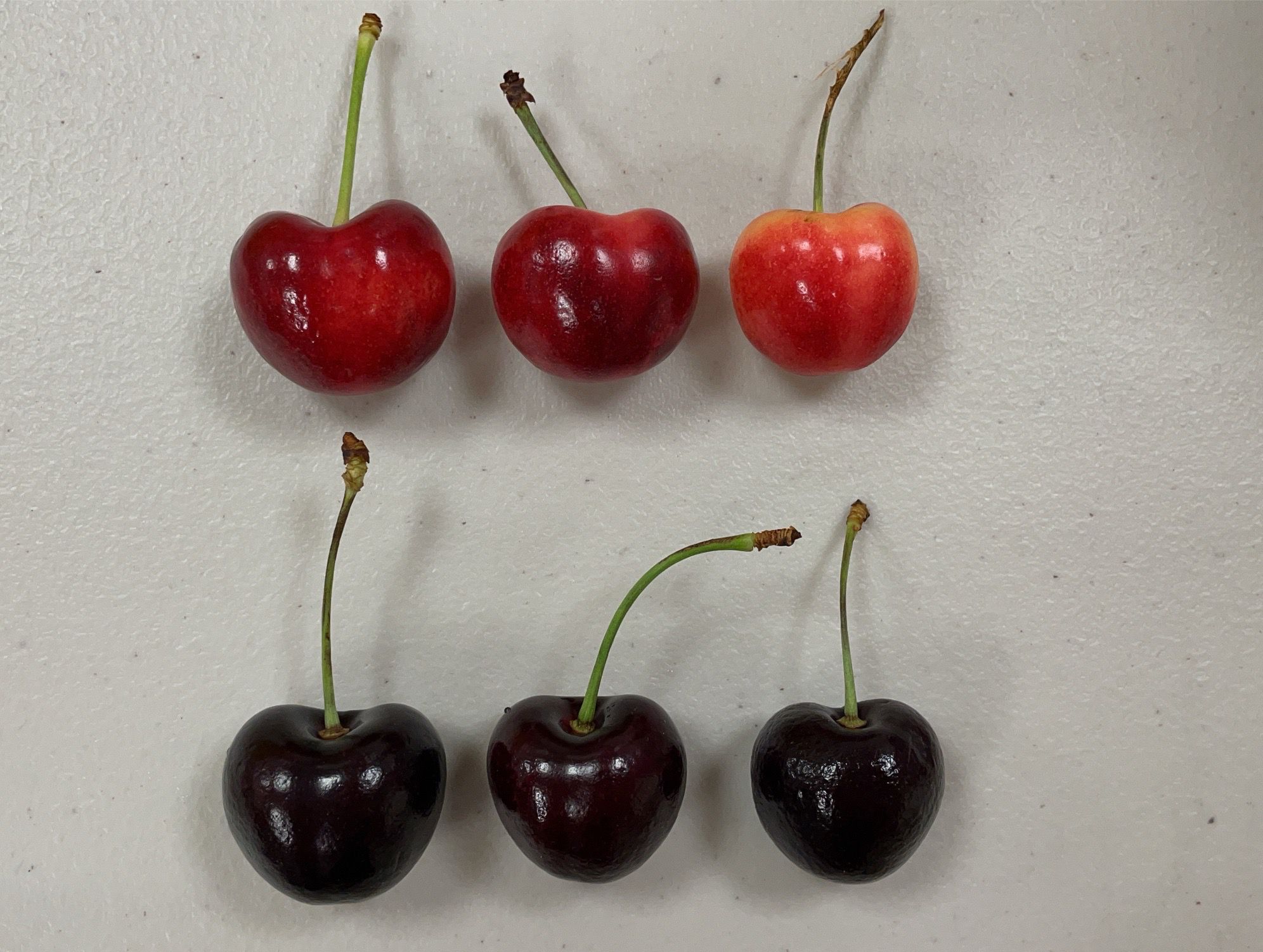 最低一盒不用$700！夏季限定！美國華盛頓直送 9ROW紅櫻桃