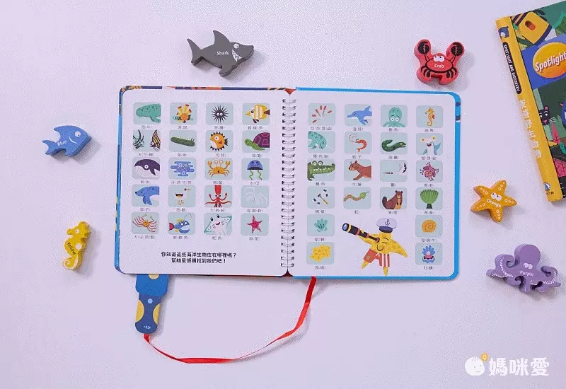 【禾流文創】拿起手電筒，來場夜間探險！『Spotlight！夜遊系列』