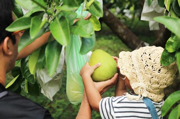 宜蘭礁溪寒沐酒店