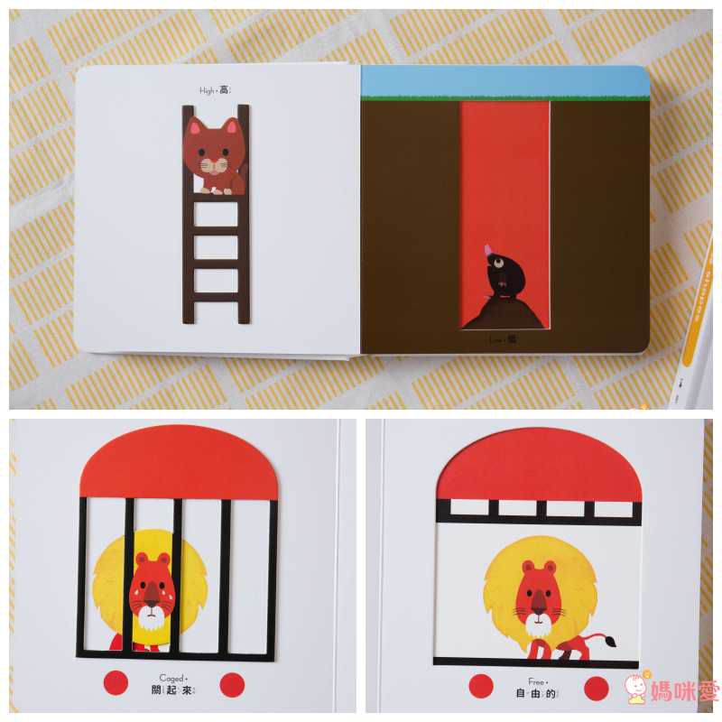 格林文化 - 法國【觸感大全套】6本合購組-ABC第一本手眼並用字典+觸感學習書：顏色colors+數字numbers+形狀 shapes +對比 opposites+情緒Emotions