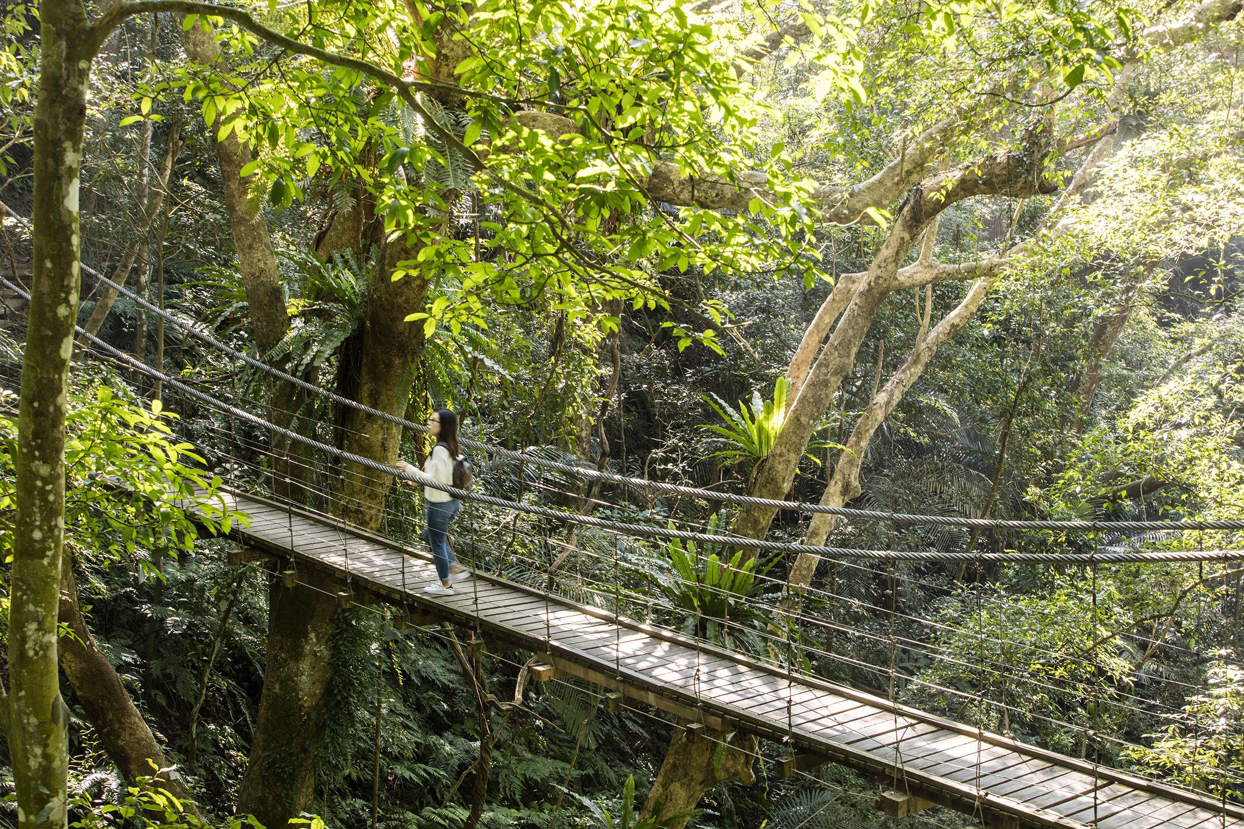 大板根森林溫泉酒店 ★ 愜意慢活輕旅行