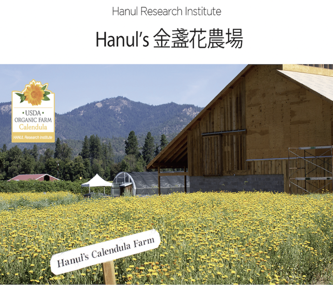 韓國RICO baby - 金盞花平衡護膚乳霜200g