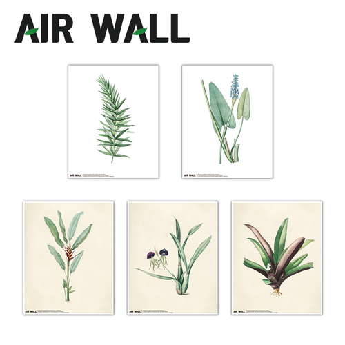 Air Wall Air Fresh抑菌除臭壁貼-植物 01
