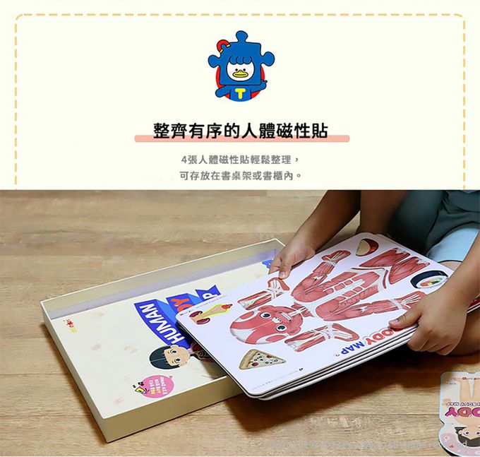 韓國 Ariati - 磁性遊戲板-人體認知