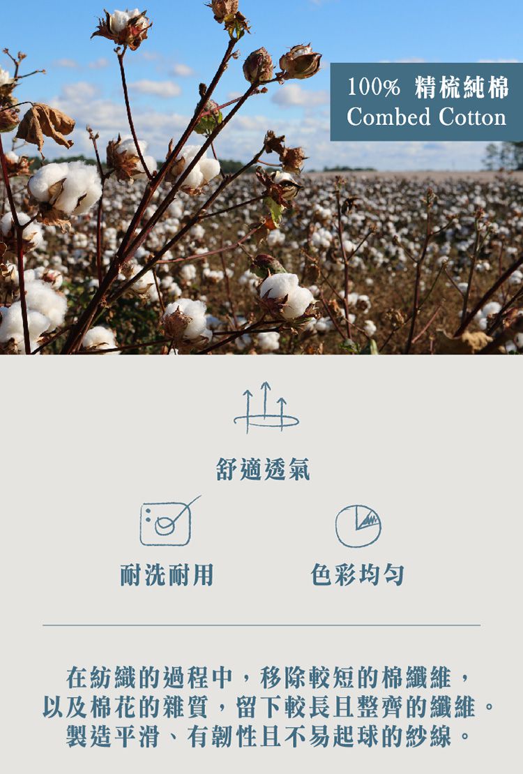 純棉最舒適！飛航模飾 涼被床包被套組，SGS 商品認證好安心