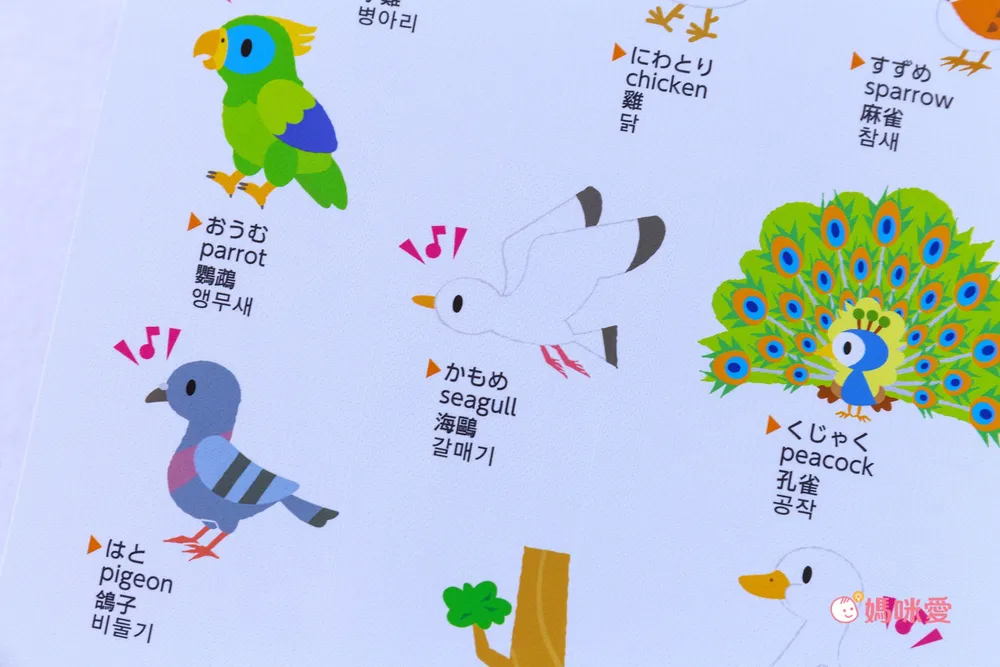 日本設計研發《KIDsREAD 四語圖解字典 》終於補貨！