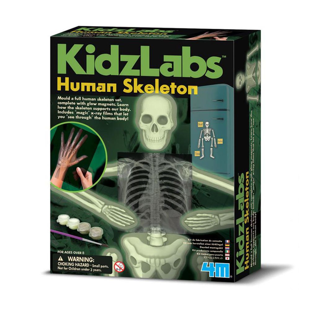 香港4M創意玩具 - 骨頭的奧秘 Glow Human Skeleton