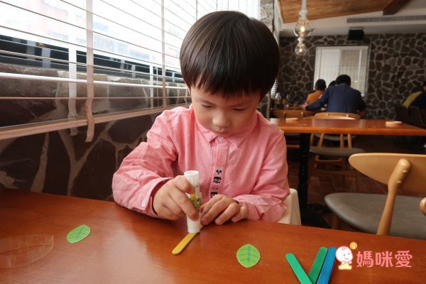 美國 ALEX - DIY環保系列-我的花園