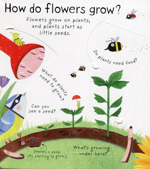 Lift-the-Flap First Questions & Answers: How do flowers grow ? 花的生長秘密（翻翻書）