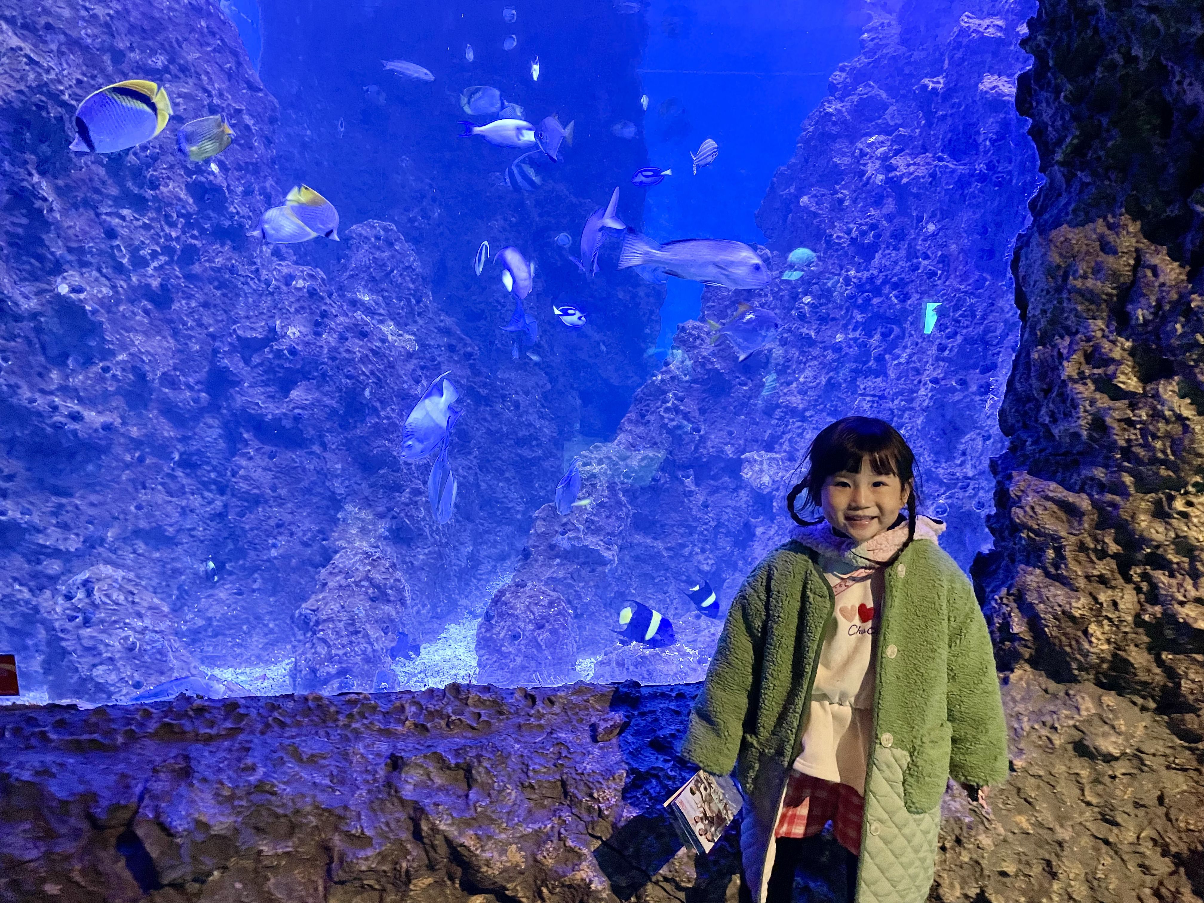 花蓮【悅樂旅店】3折起★再送樂園門票！