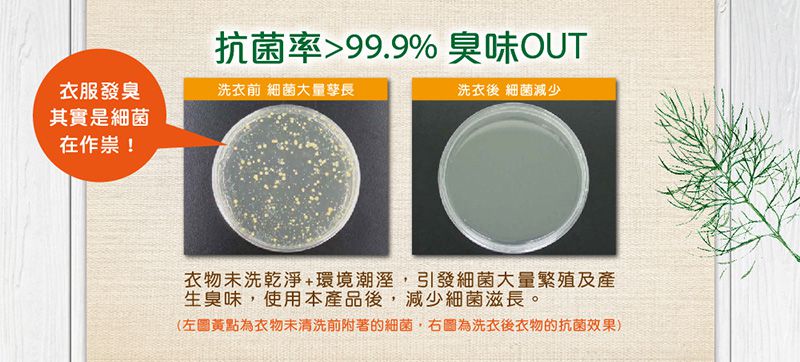 毛寶 maobao - 小蘇打植萃香氛液體皂-制臭抗菌-2000g