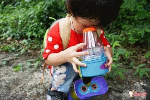 美國 Educational Insights - 小小探險家-昆蟲研究站