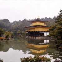 用戶頭像