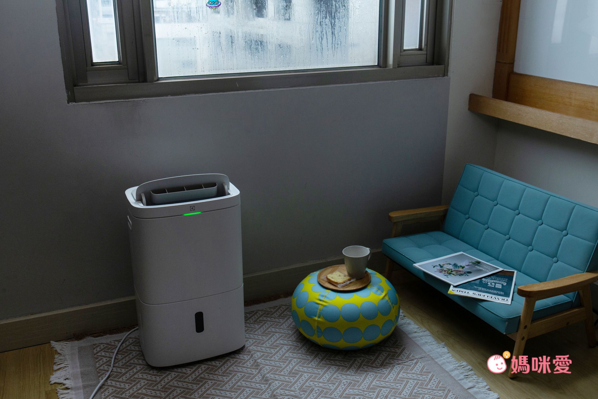 除濕清淨雙效合一！【伊萊克斯 清淨除濕機】室內晾衣不發臭
