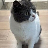 用戶頭像
